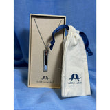 CHLOE + ISABEL crystal bar pendant necklace in silver - N648CLSS