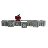 Teacher Kids Blocks Apple  Brooch-Pin Silver-Tone & Red Colored #LQP1350