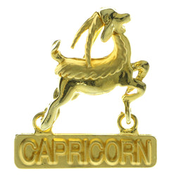 Zodiac Capricorn Brooch-Pin Gold-Tone Color  #LQP251