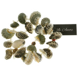 Mi Amore Sea Shells Multiple-Bracelet-Set Multicolor