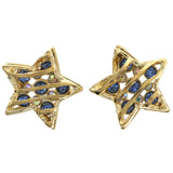 Mi Amore Star Stud-Earrings Gold-Tone/Blue