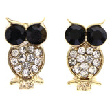 Mi Amore Owl Post-Earrings Gold-Tone/Black