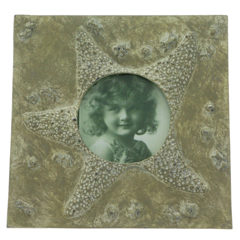 Mi Amore Sea Star Picture-Frame Brown
