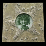 Mi Amore Sea Star Picture-Frame Brown