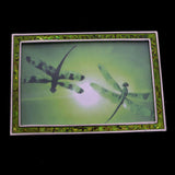 Mi Amore Picture-Frame Green/Silver-Tone