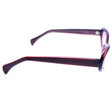 Liz Claiborne Oval-Sunglasses Purple Frame/Purple Lens