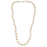 Mi Amore Beaded-Necklace White/Silver-Tone