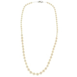Mi Amore Beaded-Necklace White/Silver-Tone